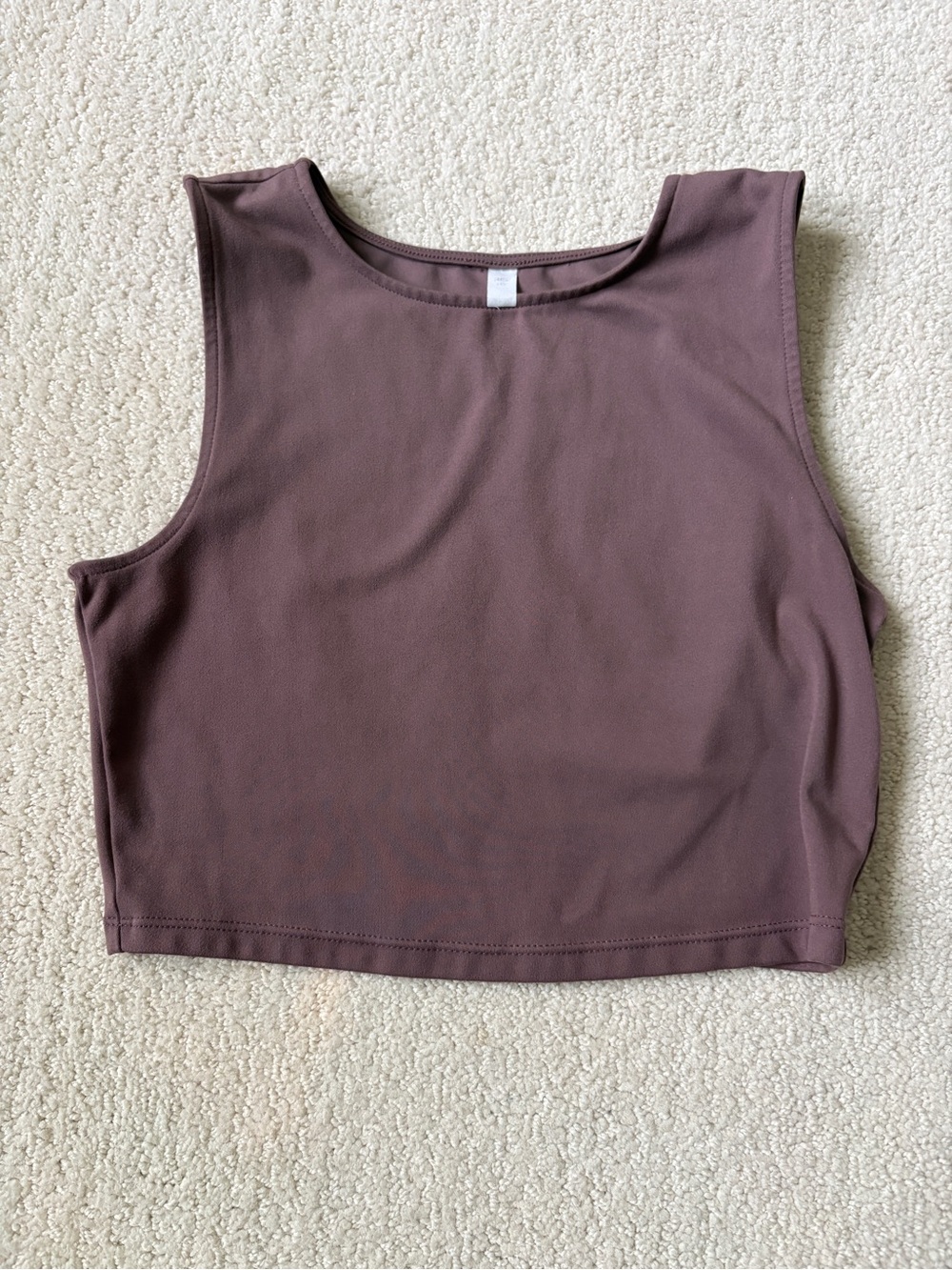 Sleeveless Crop Tank Top in Mauve Size XS